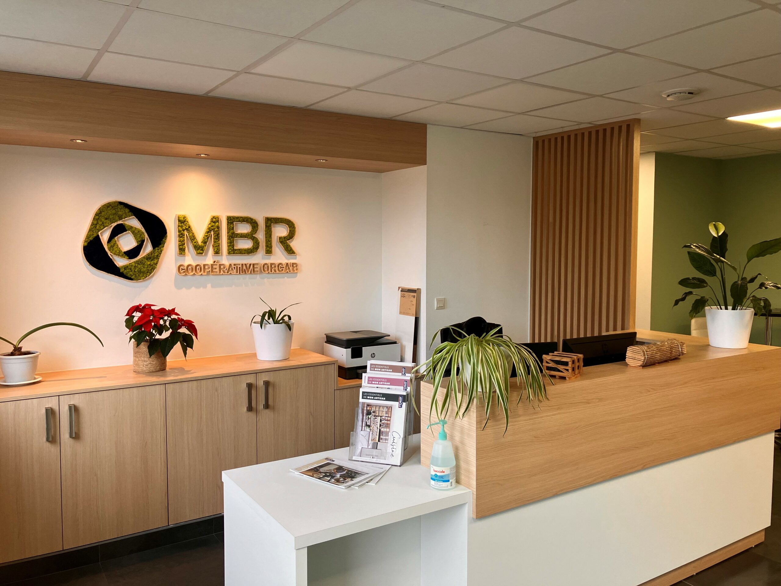 Accueil de la coopérative MBR35 — espace chaleureux avec logo végétal au mur